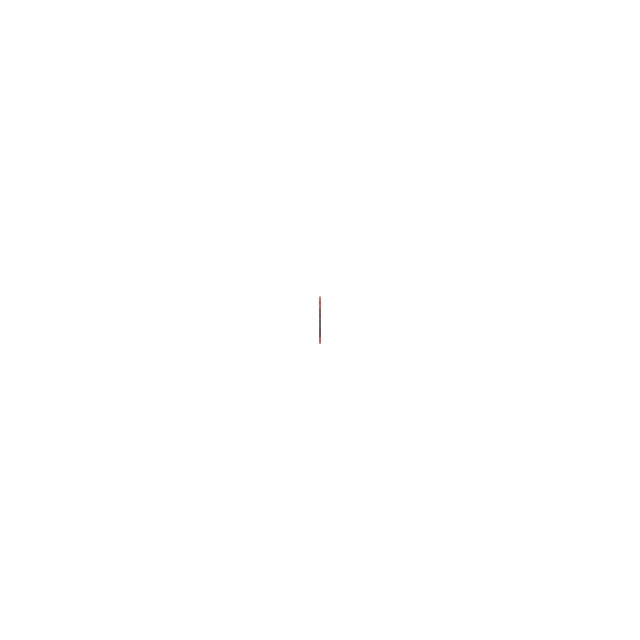 2024 Atomic Bent Chetler 100