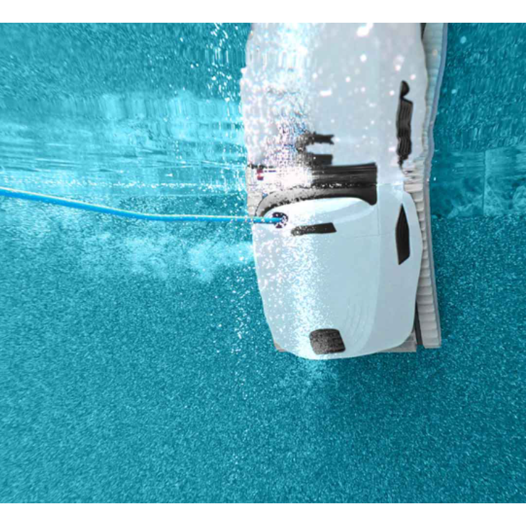 Dolphin Explorer E50