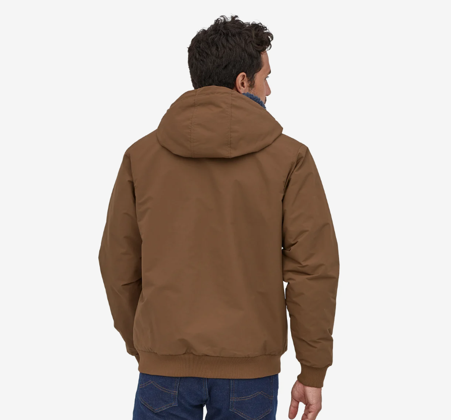 Patagonia Men's Lined Isthmus Hoody