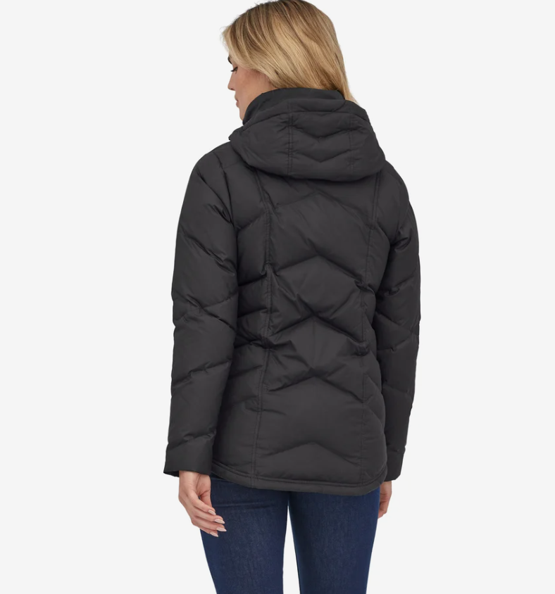 Patagonia Women's Down With It Jacket