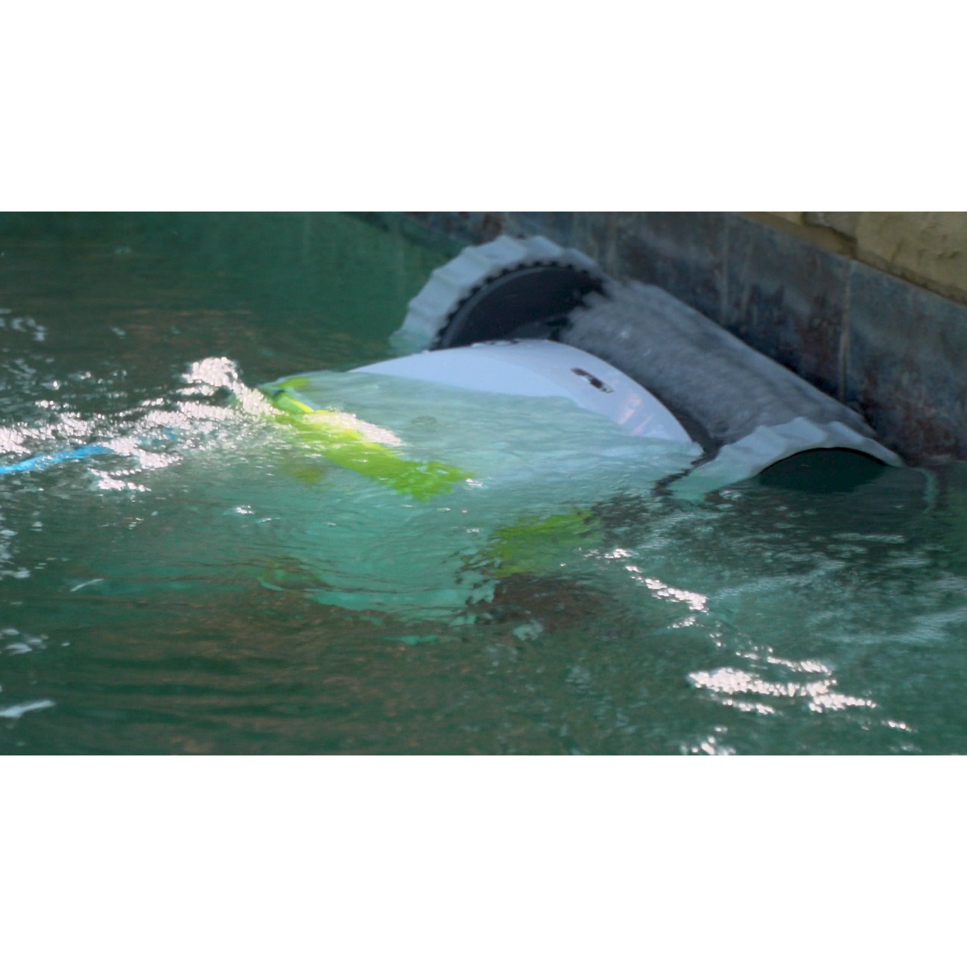 Maytronics Dolphin T45 Robotic Pool Cleaner