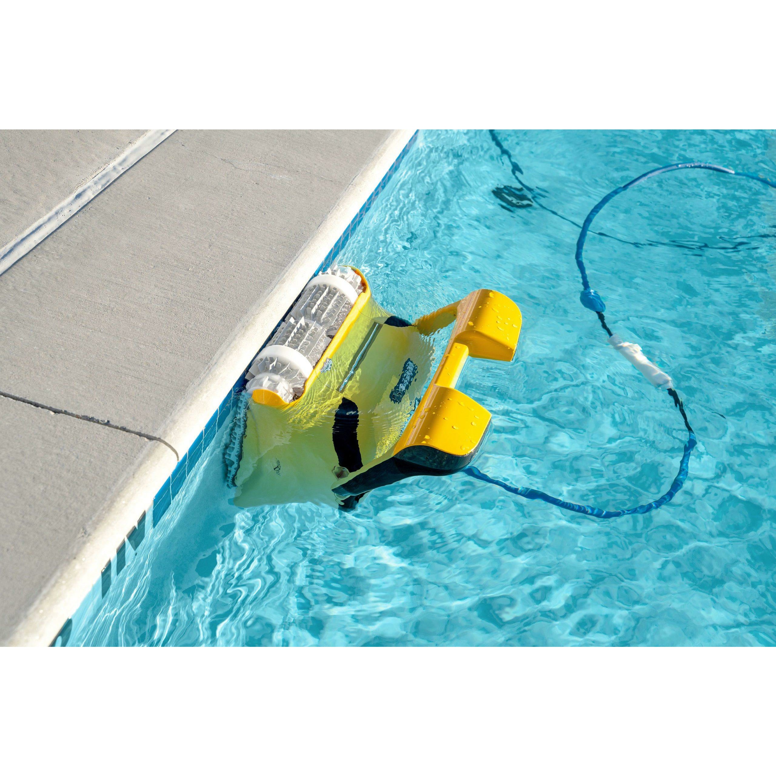 Commercial Pool Dolphin Wave 80 Robotic Cleaner - Pelican Shops
