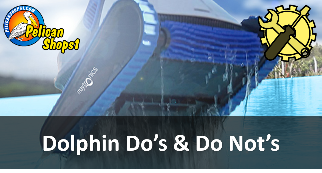 The Do's and Do Not's When Owning A Dolphin Pool Cleaner