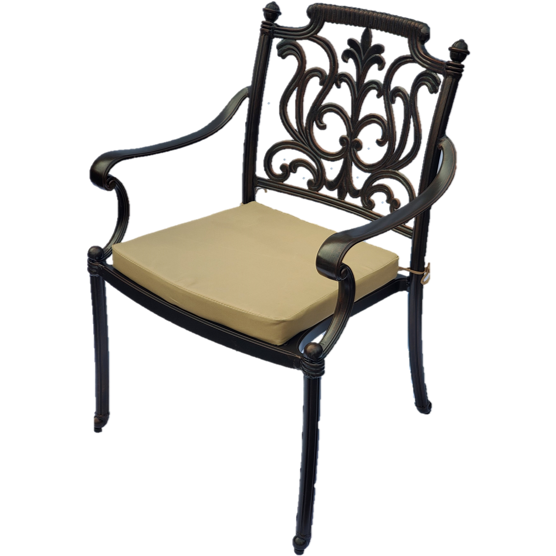 The Forte Metal Patio Dining Chair With Cushion IN STOCK