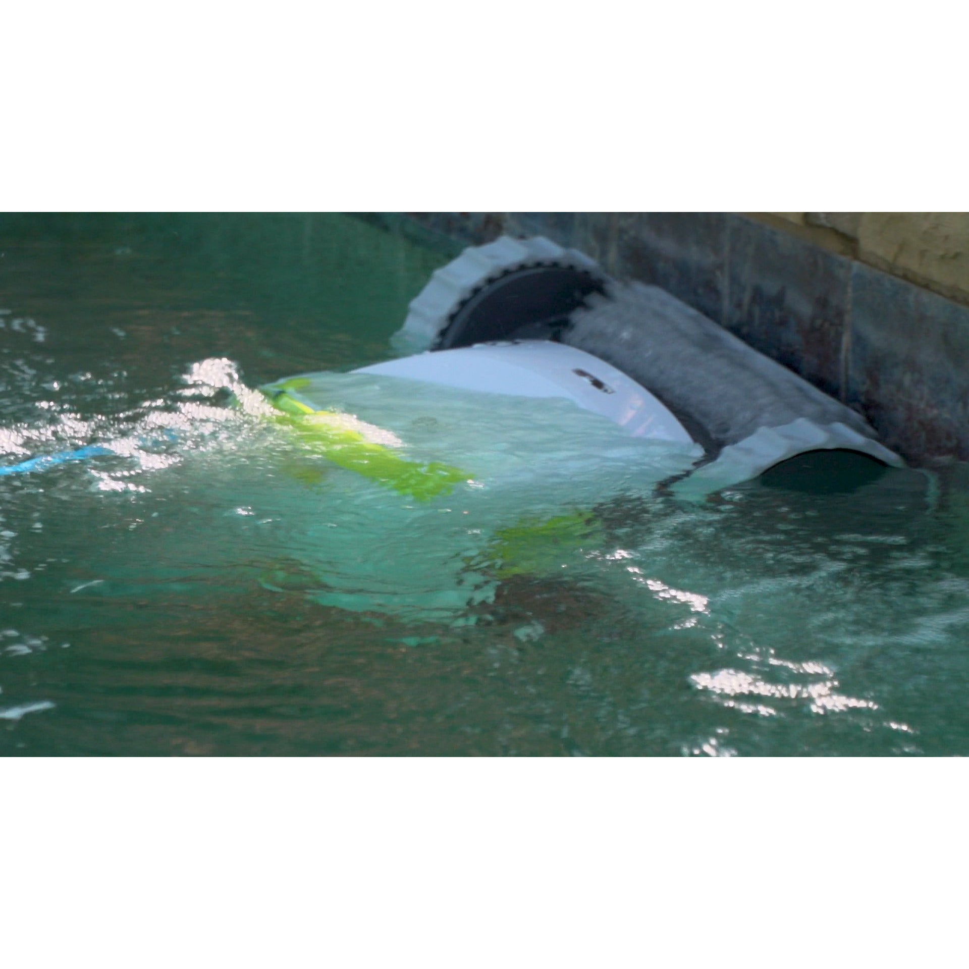 Enhanced Warranty Maytronics Dolphin T45 Robotic Pool Cleaner